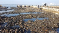 Di Penjaringan, detikcom pada Jumat (16/3/2018), mengunjungi lokasi tumpukan sampah pinggir laut berada persis di samping Kawasan Hutan Manggrove Ecomarine Muara Angke. Kebanyakan, sampah-sampah tersebut merupakan limbah rumah tangga. (Foto: Zunita Amalia Putri/detikcom)