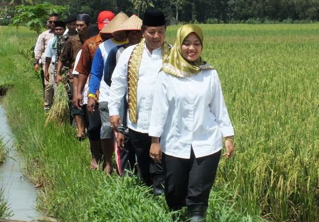Sosok wanita berhijab lainnya yang tampil di Pilkada 2018 adalah Chusnunia Salim atau akrab disapa Nunik. Mantan bupati Lampung ini mantap menjadi Cawagub mendampingi Arinal Djunaidi. Foto: Dok Arinal-Nunik