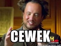 Meme Kocak Cewek Selalu Benar