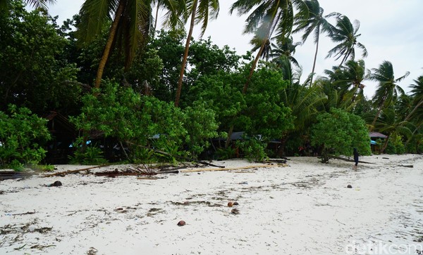 Meski ada sampah-sampah daun, tapi itu tidak mengurangi kecantikan Pantai Ngurbloat. (Wahyu/detikTravel) Meski ada sampah-sampah daun, tapi itu tidak mengurangi kecantikan Pantai Ngurbloat. (Wahyu/detikTravel)