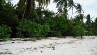 Meski ada sampah-sampah daun, tapi itu tidak mengurangi kecantikan Pantai Ngurbloat. (Wahyu/detikTravel)