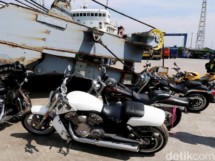 8 Moge Milik Bupati Abdul Latif yang Disita KPK