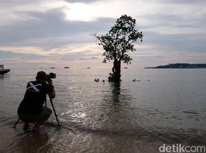 Jangan Dibuang! Buku Panduan Kamera Kunci Memotret Kece