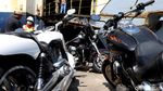 8 Moge Milik Bupati Abdul Latif yang Disita KPK
