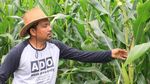 Deretan Berita Heboh: TKI Dipancung hingga Ular Masuk Warung Padang