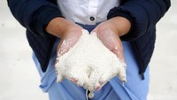Pasirnya berwarna putih, dan teksturnya halus banget seperti tepung terigu. Tak banyak pantai di Indonesia yang pasirnya sehalus ini. (Wahyu/detikTravel)