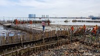 Lautan sampah di Muara Angke, Jakarta Utara, dibersihkan. Gubernur DKI Anies Baswedan menyatakan sebanyak 50 ton sampah berhasil diangkut dari lokasi tersebut. 