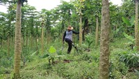 Saat memutuskan menjadi petani, istri dan keluarganya sempat memprotes. Tapi dia berhasil meyakinkan keluarganya. Tekadnya untuk berkebun sudah sangat kuat. Muslahuddin optimistis suatu saat akan berhasil. 