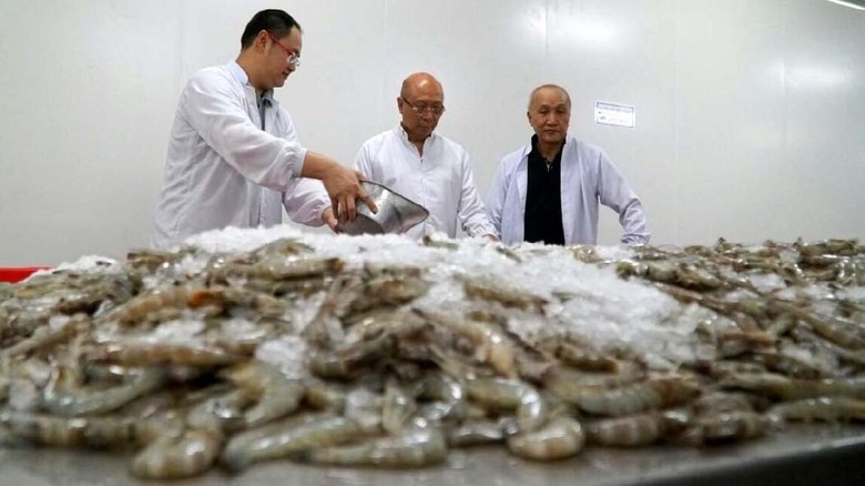 Udang dan Peluang Perhutanan Sosial Udang dan Peluang Perhutanan Sosial