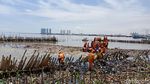 Foto: Lautan Sampah Teluk Jakarta di Hari Ketiga Pembersihan
