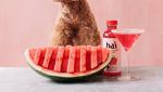 Gemas! Ini Ekspresi Imut Cookie, Poodle yang Suka Pasta dan Buah