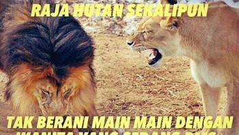 Singa sekalipun juga takut sama cewek. Foto: internet