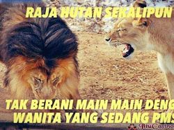 Meme Kocak Cewek Selalu Benar