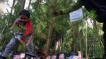 Peduli Lingkungan, BRI Tanam 123 Pohon Pinus