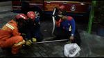Detik-detik Ular Sanca 4 Meter Ditangkap di RM Padang