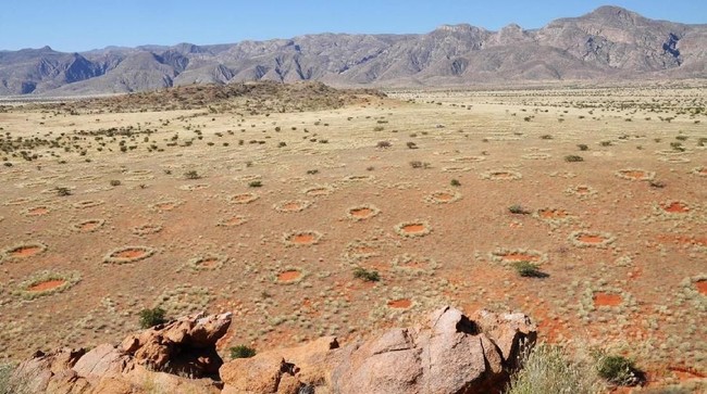 BUMN RI Diajak Bikin Pelabuhan hingga Rel Kereta di Namibia