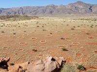 BUMN RI Diajak Bikin Pelabuhan hingga Rel Kereta di Namibia