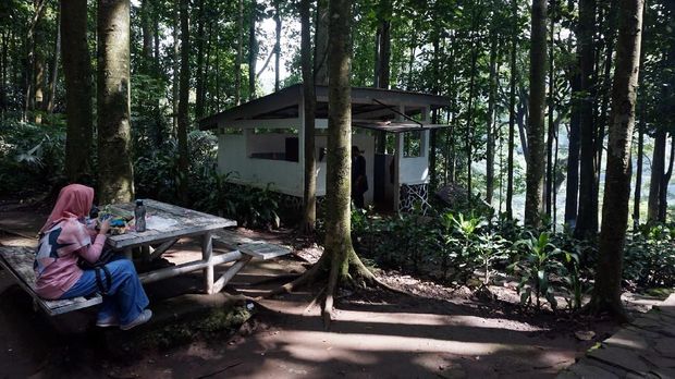 Bank BRI terus menunjukan komitmennya terhadap dunia lingkungan dengan menanam 123 bibit pohon di Taman Hutan Raya Juanda, Bandung, Jawa Barat.