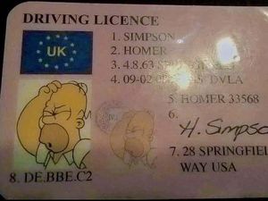 Ditilang, Pengendara Ini Malah Tunjukkan SIM The Simpsons