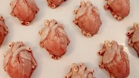 Bisa tebak ini organ apa? Katherine yang sebelumnya bekerja sebagai suster ini bikin ganache bentuk jantung! Meski tampilannya bikin merinding, ganache cokelat strawberry ini sepertinya enak! Foto: Instagram katherine.dey