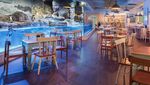Asyik! Bisa Main Sepuasnya Bareng Hewan di 8 Restoran Ini