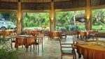Asyik! Bisa Main Sepuasnya Bareng Hewan di 8 Restoran Ini