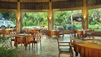 Mau makan ditemani harimau dan singa? Datang saja ke Tsavo Lion Restaurant di Bali Safari & Marine Park. Meski dipisahkan kaca tapi tetap saja deg-degan. Foto: Istimewa