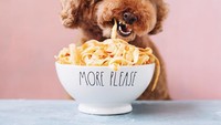 Tidak hanya suka es kr im, pasta masuk ke dalam salah satu menu makanan favoritenya. More please! Foto: Instagram @ps.ny