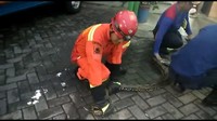 Begini detik-detik petugas melumpuhkan ular sanca sepanjang 4 meter tersebut