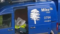 Keras banget ini hidupnya si Mike ini, yang tabah ya Mike. Istimewa/Boredpanda.