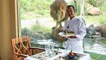Asyik! Bisa Main Sepuasnya Bareng Hewan di 8 Restoran Ini