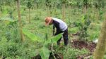 Potret Petani Aceh yang Tanggalkan Gaji Rp 75 Juta di World Bank