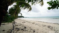 Sayang saat detikTravel berkunjung, Pantai Ngurbloat dihiasi sampah dedaunan. Tapi tenang, fenomena sampah ini wajar karena memang terbawa arus laut. (Wahyu/detikTravel)