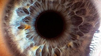 Your beautiful eyes sendiri adalah foto-foto yang menampilkan bagaimana indahnya mata manusia dari jarak dekat.  (Foto: Suren Manvelyan)