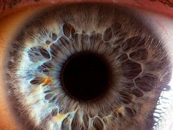 Mata Manusia dari Jarak Super Dekat, Keren atau Seram?