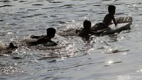 Di bawah matahari sore, mereka berenang.