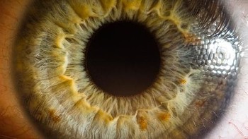 Kemampuan fotografinya pun telah diakui masyarakat umum, karya foto sudah banyak dipajang di berbagai majalah dan koran ternama di Armenia dan juga di seluruh dunia. IFoto: Suren Manvelyan)