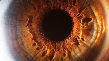 Suren pun memiliki gelar PhD dalam Fisika Teoritis dari Universitas Negeri Yerevan pada tahun 2001 di mana penelitiannya berfokus pada Quantum Chaos. (Foto: Suren Manvelyan)