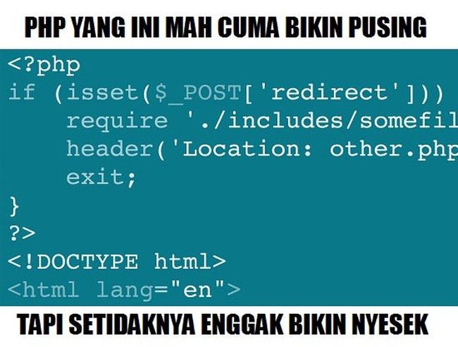 PHP bahasa pemrograman memang bikin pusing tapi tak bikin nyesek seperti PHP yang maknanya pemberi harapan palsu. Foto: Istimewa