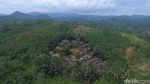 Foto Drone: Kampung Eksotis Baduy Luar