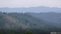 Hamparan perbukitan Baduy terlihat di sepanjang mata memandang. Rute perjalanan 4 jam menembus barisan bukit yang menjadi gerbang Baduy itu (Muhammad Zaky Fauzi Azhar/detikTravel)