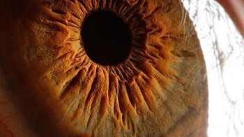 Selain sebagai berprofesi sebagai fotografer ia juga mengajar mata pelajaran seperi fisika, matematika, geometri proyektif dan astronomi di Yerevan Waldorf School. (Foto: Suren Manvelyan)