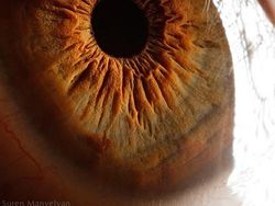 Mata Manusia dari Jarak Super Dekat, Keren atau Seram?