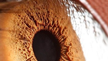 Proyek fotonya pun ia publikasikan di situs komunitas foto Behance dan telah mendapatkan jutaan viewers serta ribuan like. (Foto: Suren Manvelyan)