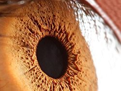 Mata Manusia dari Jarak Super Dekat, Keren atau Seram?