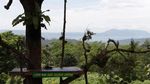 Tempat Fotogenik di Lampung, Banyak!