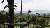  Tak hanya berfoto ria, traveler bisa wisata outbond juga berkemah di Taman Hutan Raya Wan Abdul Rahman (Muhammad Catur Nugaraha/dTraveler)