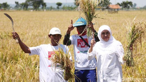 Bertemu Warga Tuban, Khofifah Bicara Infrastruktur Hingga Koperasi