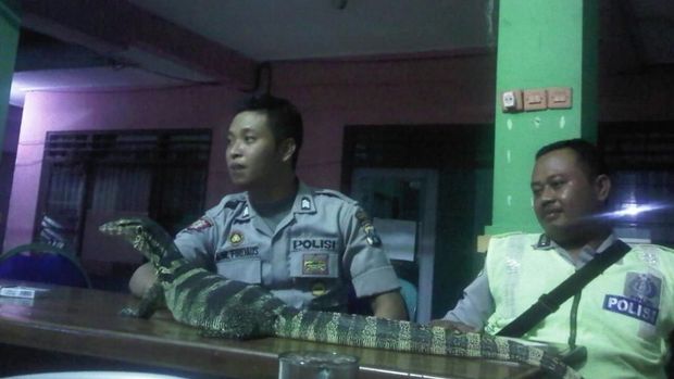 Tak jarang Brigadir Arifian membawa salah satu biawaknya ke tempat tugas. (Foto: Muhajir Arifin)