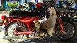 Makin Jadul Makin Disayang